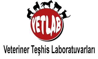 VETLAB Vetriner Teşhis Laboratuvarları logosu